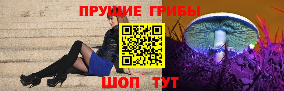 Псилоцибиновые грибы Psilocybine cubensis  Вход с VPN  Сергиев Посад 