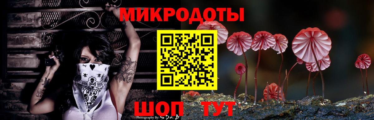 Галлюциногенные грибы мицелий Сергиев Посад